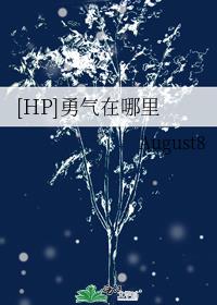 [HP]勇气在哪里