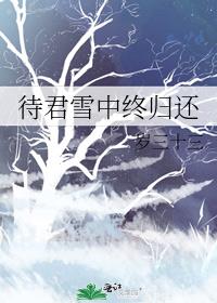 待君雪中终归还