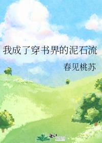 我成了穿书界的泥石流