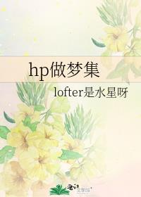 hp做梦集