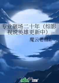 专业砸场二十年（综影视说英雄更新中）