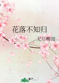 花落不知归