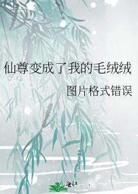 仙尊变成了我的毛绒绒