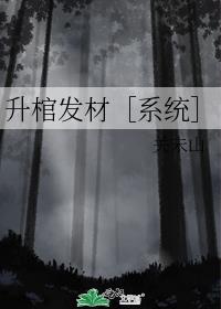 升棺发材［系统］