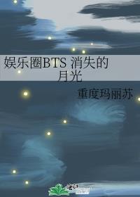 娱乐圈BTS 消失的月光