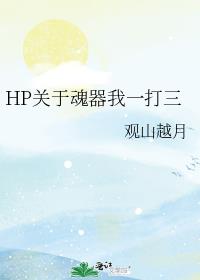 HP关于魂器我一打三