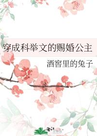 穿成科举文的赐婚公主