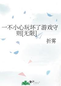 一不小心玩坏了游戏守则[无限]