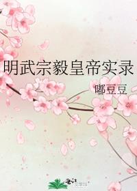 明武宗毅皇帝实录