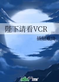 陛下请看VCR