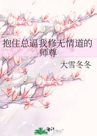 抱住总逼我修无情道的师尊