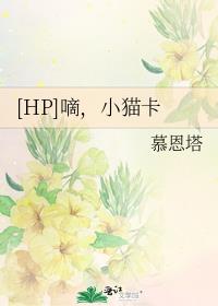 [HP]嘀，小猫卡