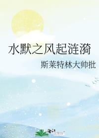 水默之风起涟漪