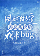 同时绑定善恶系统后我卡bug