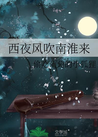 西夜风吹南淮来