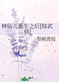 林仙儿重生之后[综武侠]